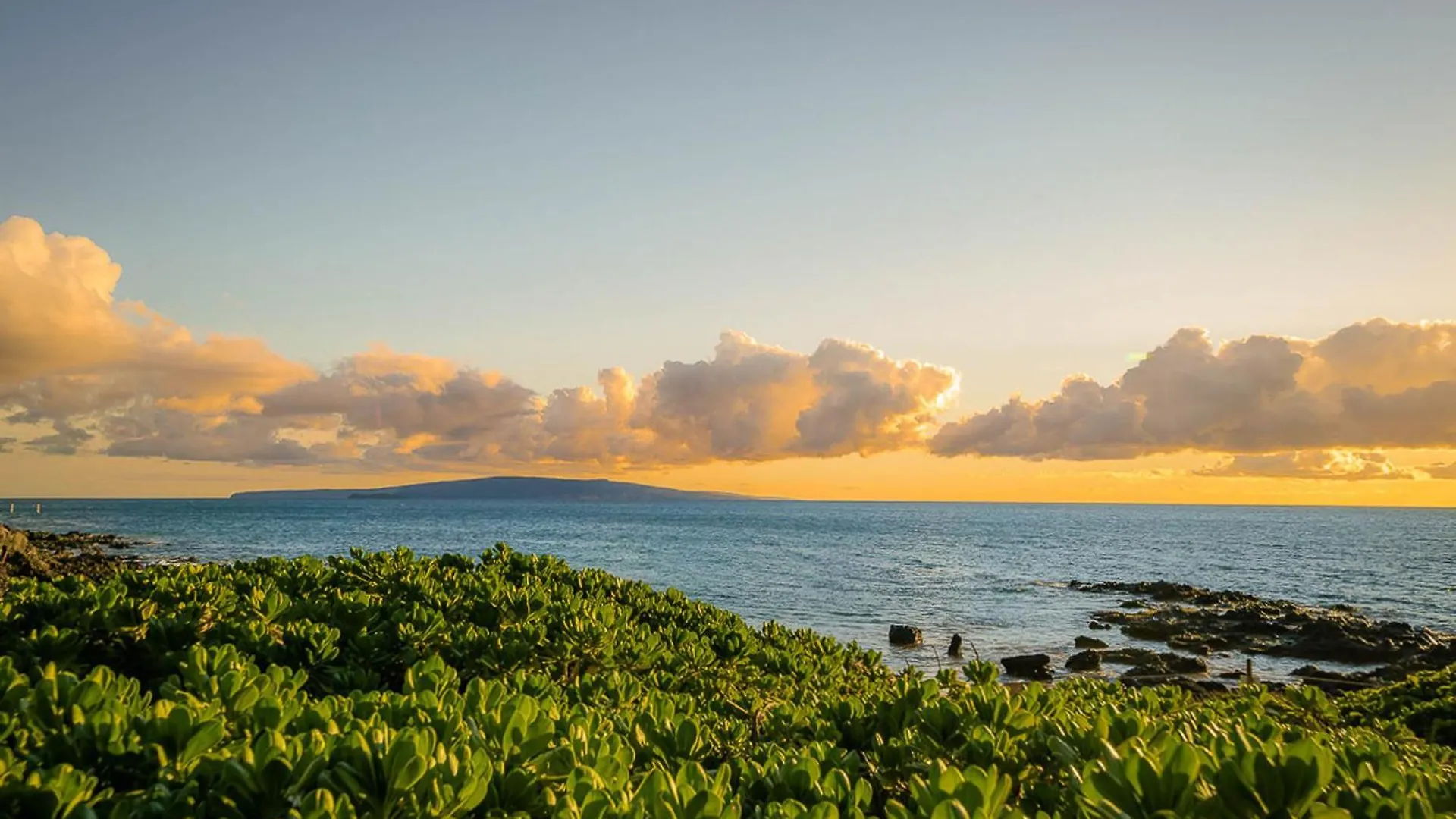 Apartment Kamaole Sands 7-104 Wailea  United States